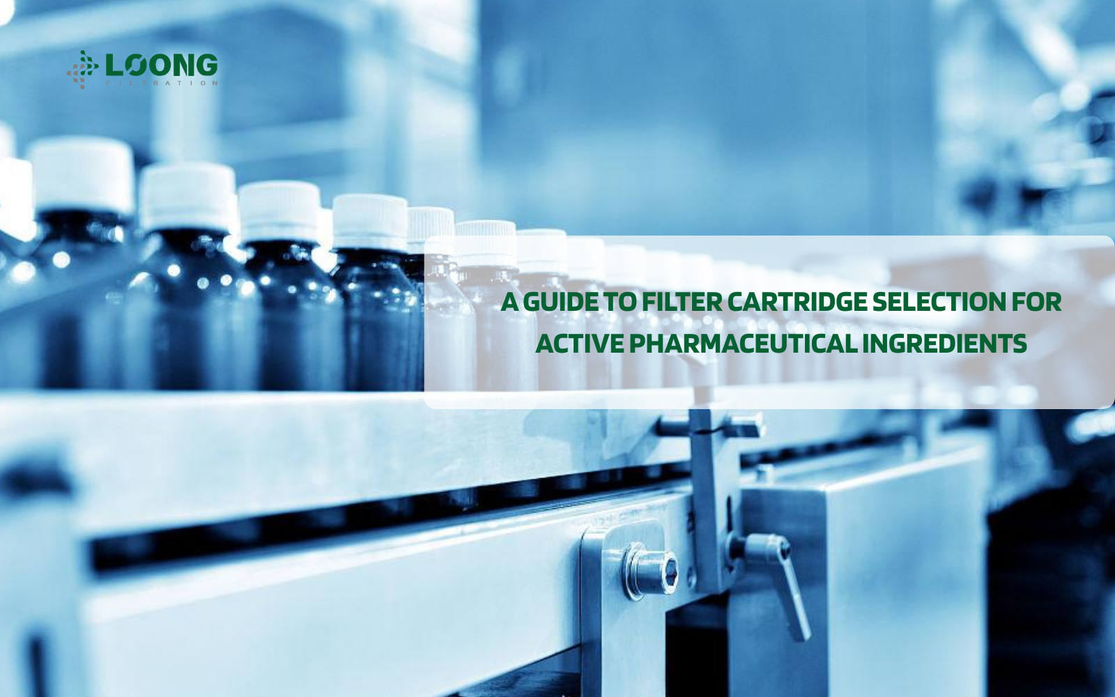 &iquest;Una gu&iacute;a para la selecci&oacute;n de cartuchos de filtro para ingredientes farmac&eacute;uticos activos?