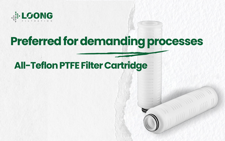 خرطوشة فلتر تفلون PTFE بالكامل.png