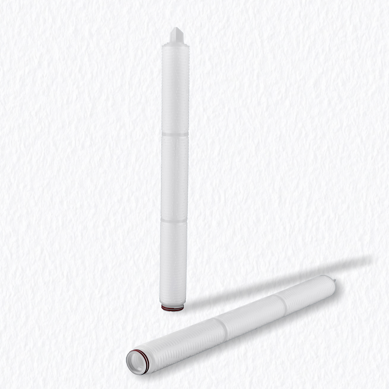 Cartucho de filtro PVDF hidrof&iacute;lico 