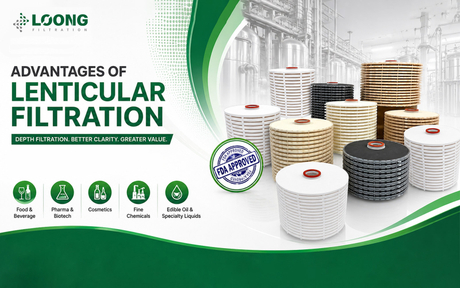 Lentik&uuml;ler Filtrelemenin Avantajları LOONGFiltration.jpg