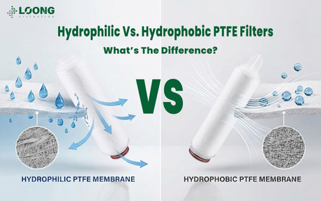 مرشحات PTFE المحبة للماء مقابل مرشحات PTFE الكارهة للماء ما هو الفرق LOONGFiltration.jpg