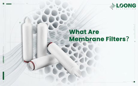 Что такое мембранные фильтры? LOONGFiltration.png